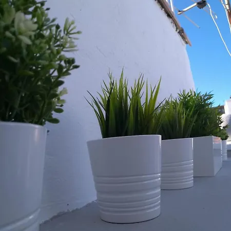 Historical Center+mini Terrace